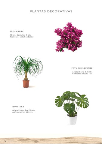 diana_ochoa8a 灯饰目录 德文 iluminación/vegetación 第 12 页