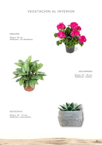diana_ochoa8a 灯饰目录 德文 iluminación/vegetación 第 13 页