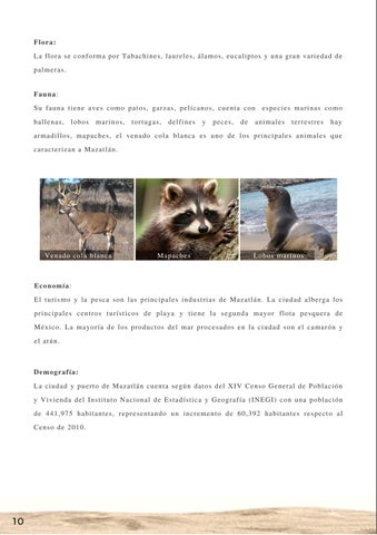 Investigación 第 14 页