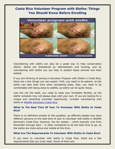 Volunteer program with sloths by natuwa - Issuu