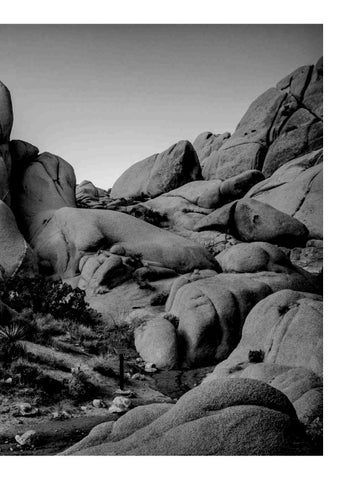 Joshua Tree 第 7 页