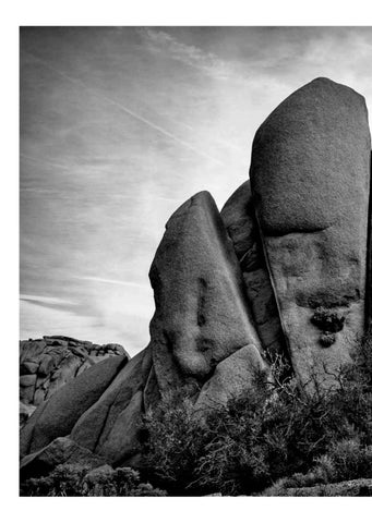 Joshua Tree 第 8 页