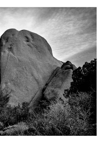 Joshua Tree 第 9 页