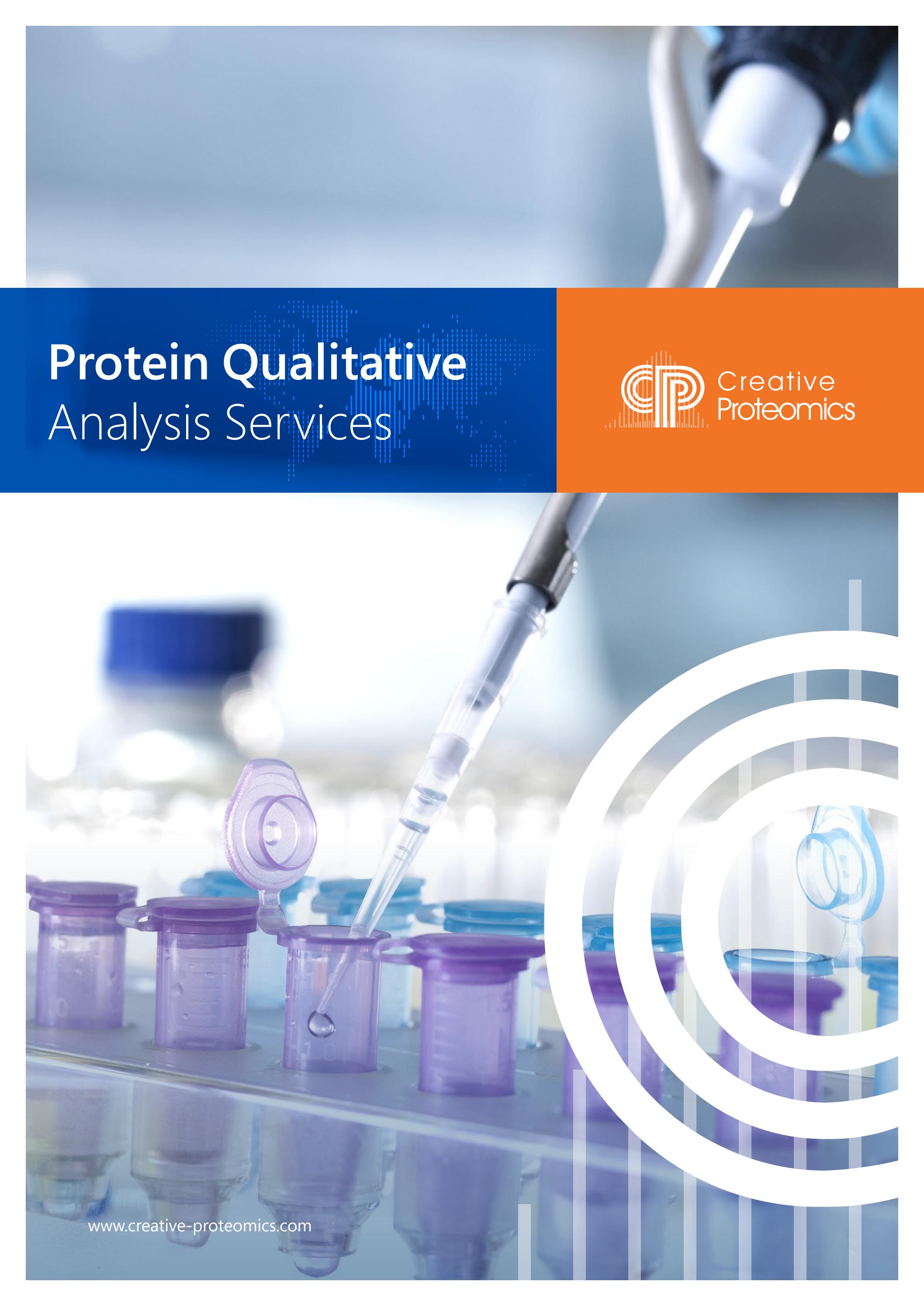 Mass Spectrometry Platform Assists Protein Qualitative Analysis by