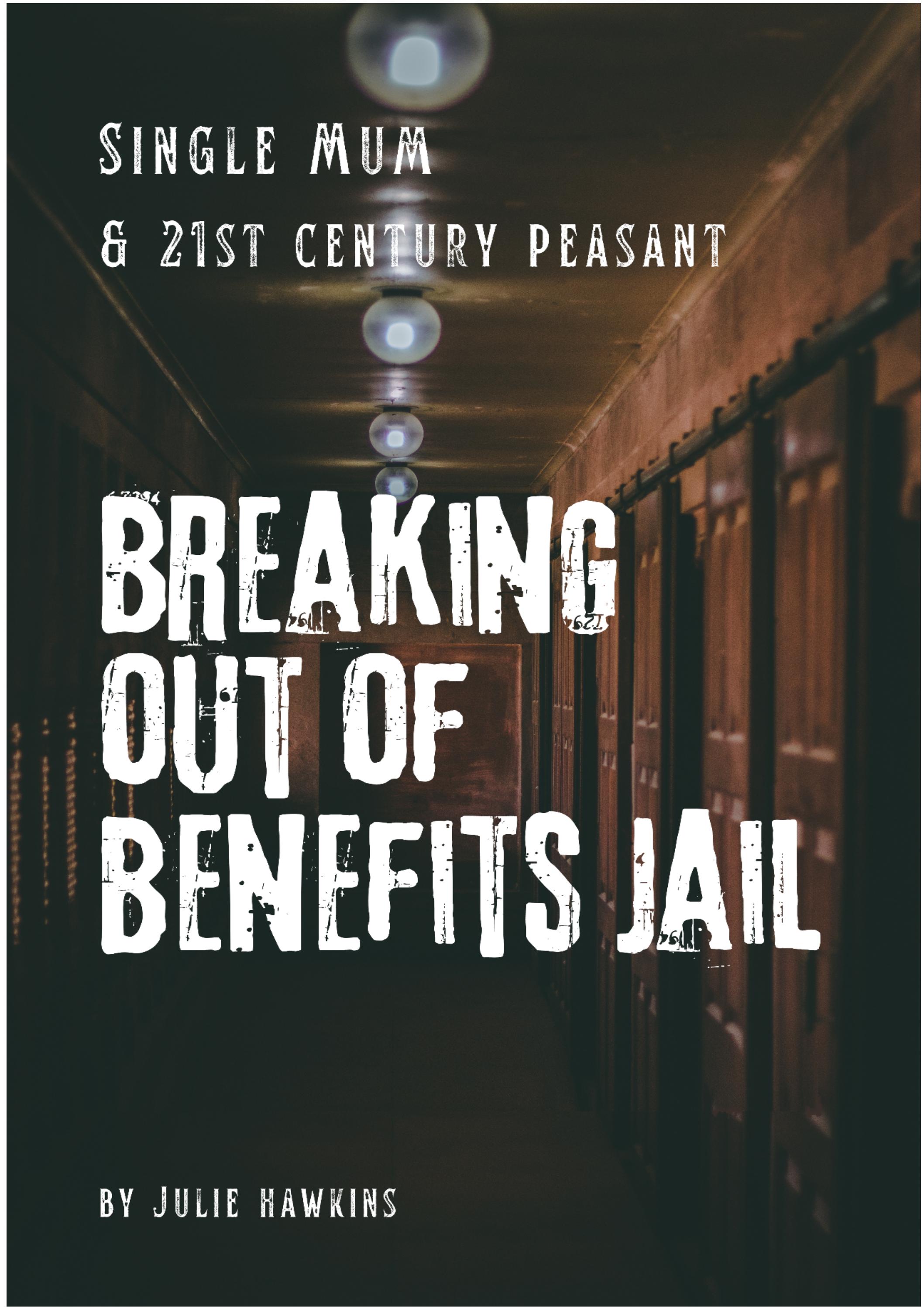 single-mum-and-21st-peasant-breaking-out-of-benefits-jail-book
