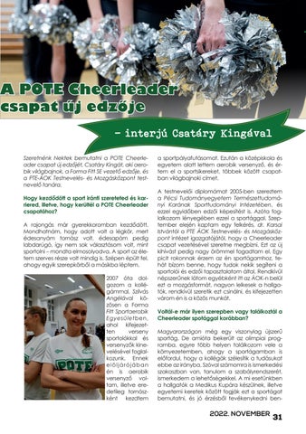 Page 31