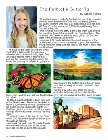 Page 26