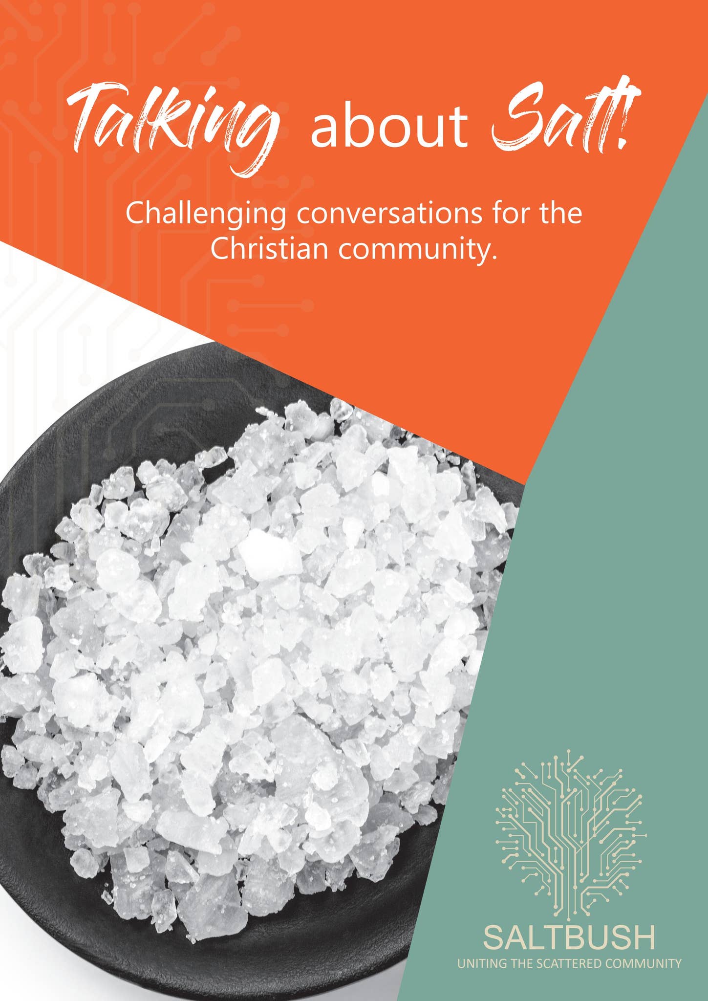 Talking about Salt by Ruminations (Saltbush) - Issuu