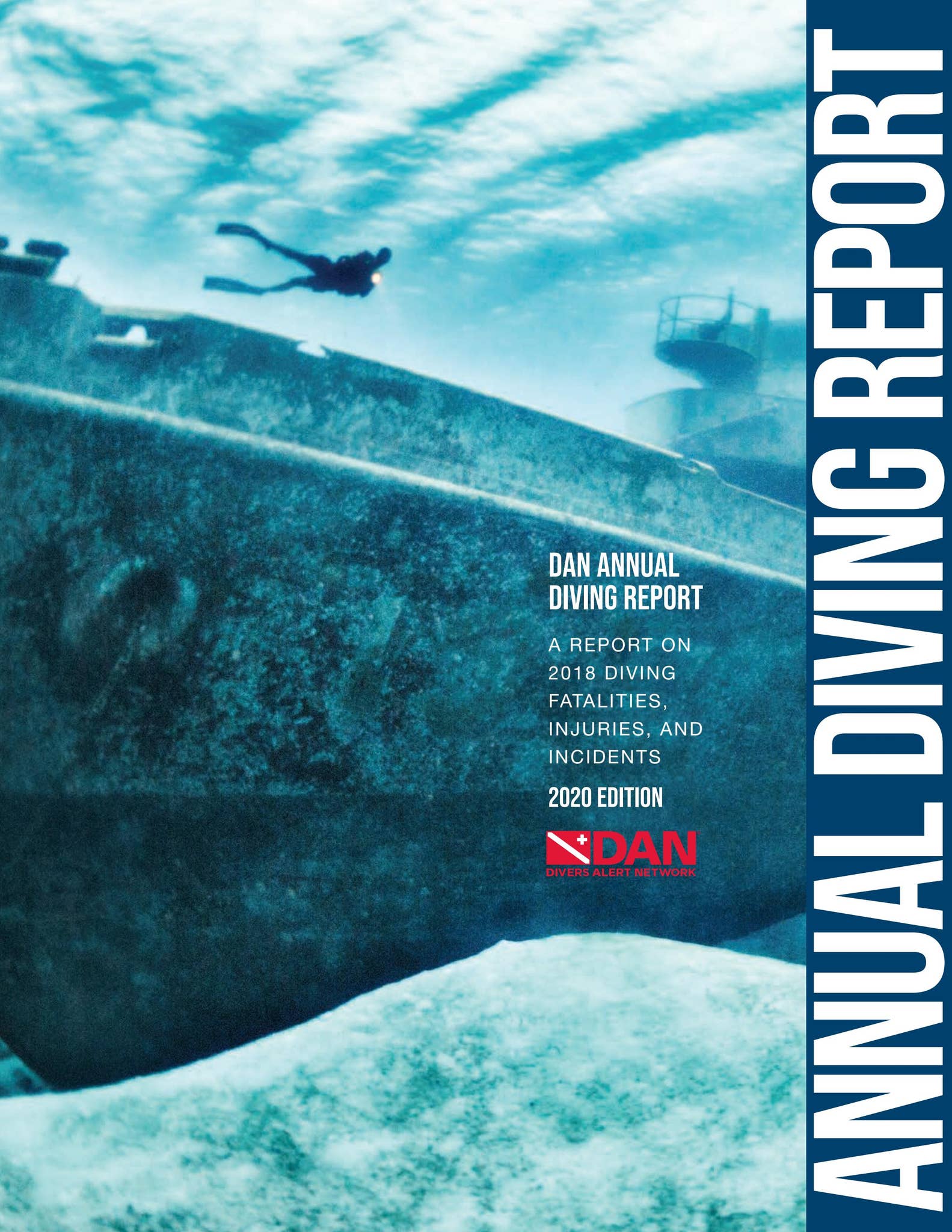 Annual Diving Report 2020 by DAN Southern Africa - Issuu