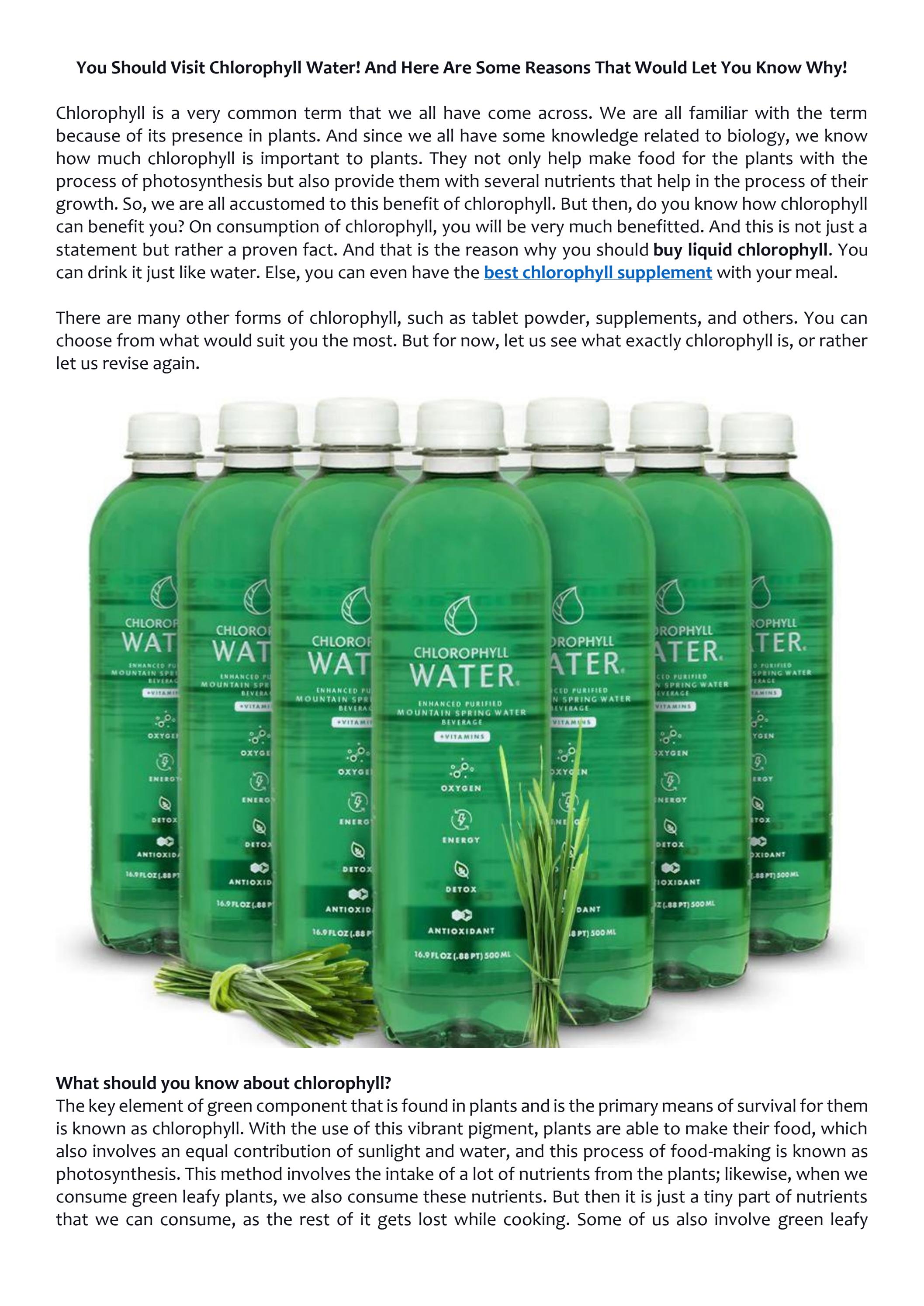 You Should Visit Chlorophyll Water! And Here Are Some Reasons That