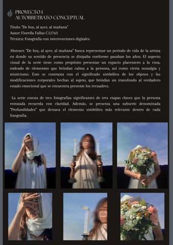 灯饰目录 , Diseño I. Fiorella Fallas C12763 第 12 页