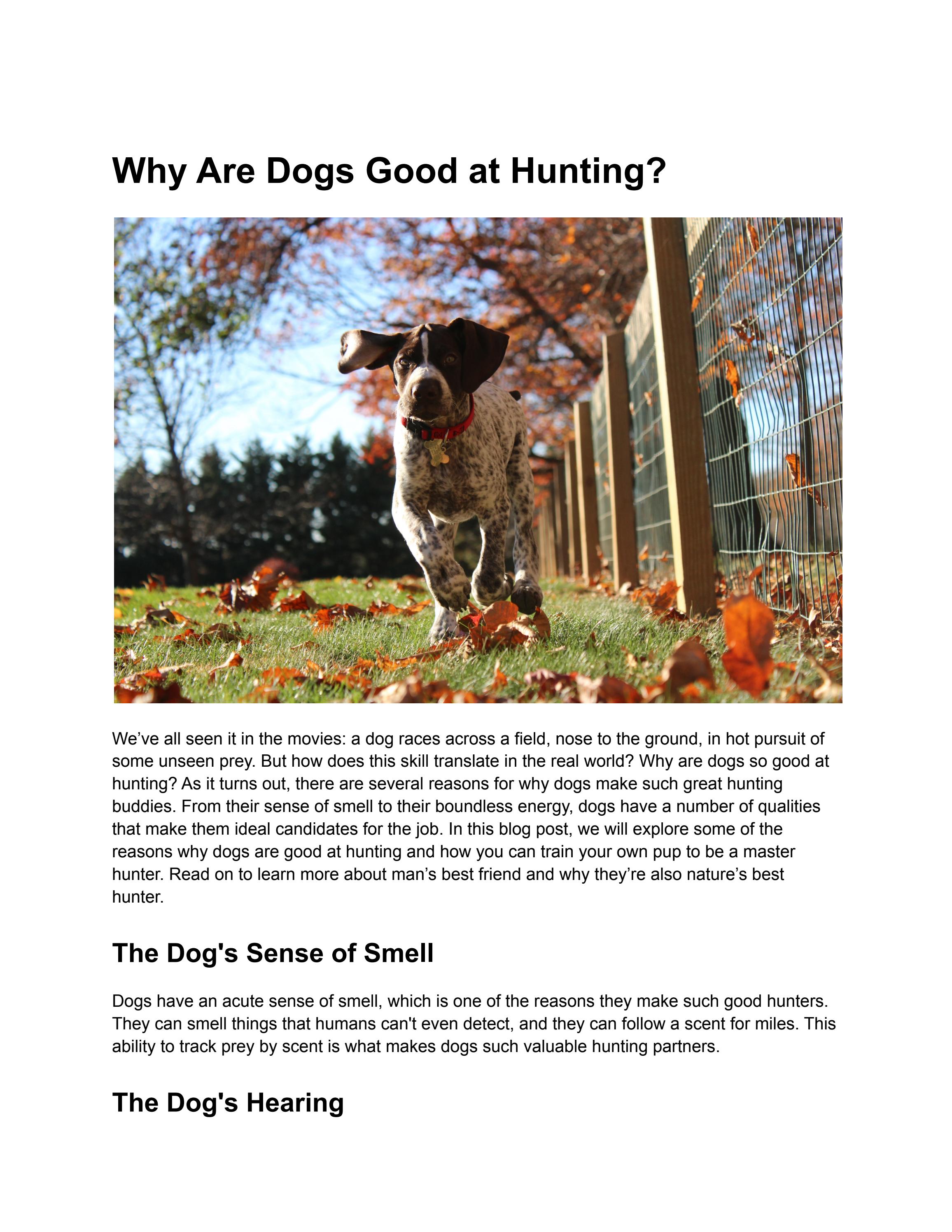Why Are Dogs Good at Hunting? by rurisnow Issuu