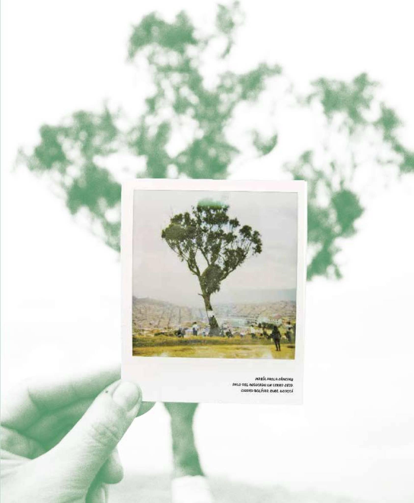 El Palo del Ahorcado. De la Raíz a la resistencia” by Instituto Distrital  Patrimonio Cultural - Issuu