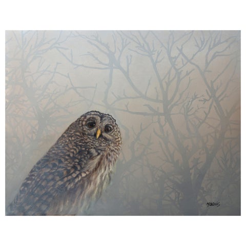 Jhenna Quinn Lewis: Avifauna: A World Within 第 15 页