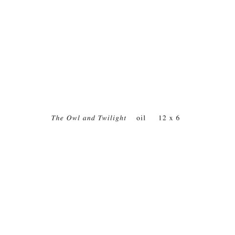 Jhenna Quinn Lewis: Avifauna: A World Within 第 20 页