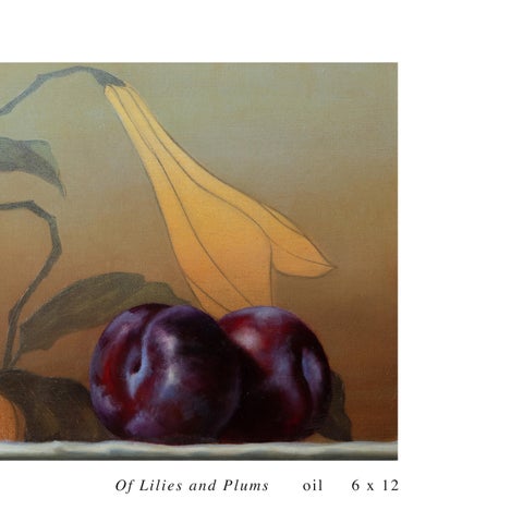 Jhenna Quinn Lewis: Avifauna: A World Within 第 23 页