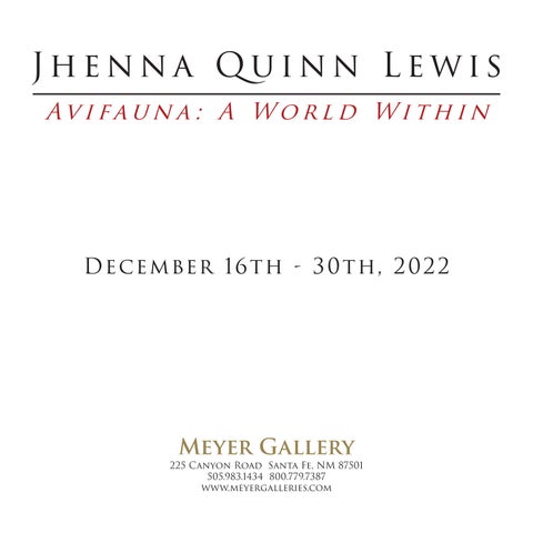 Jhenna Quinn Lewis: Avifauna: A World Within 第 3 页