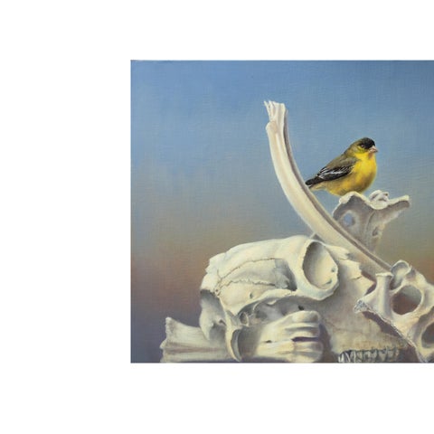 Jhenna Quinn Lewis: Avifauna: A World Within 第 6 页
