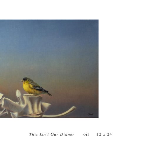 Jhenna Quinn Lewis: Avifauna: A World Within 第 7 页