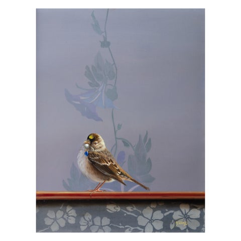 Jhenna Quinn Lewis: Avifauna: A World Within 第 9 页