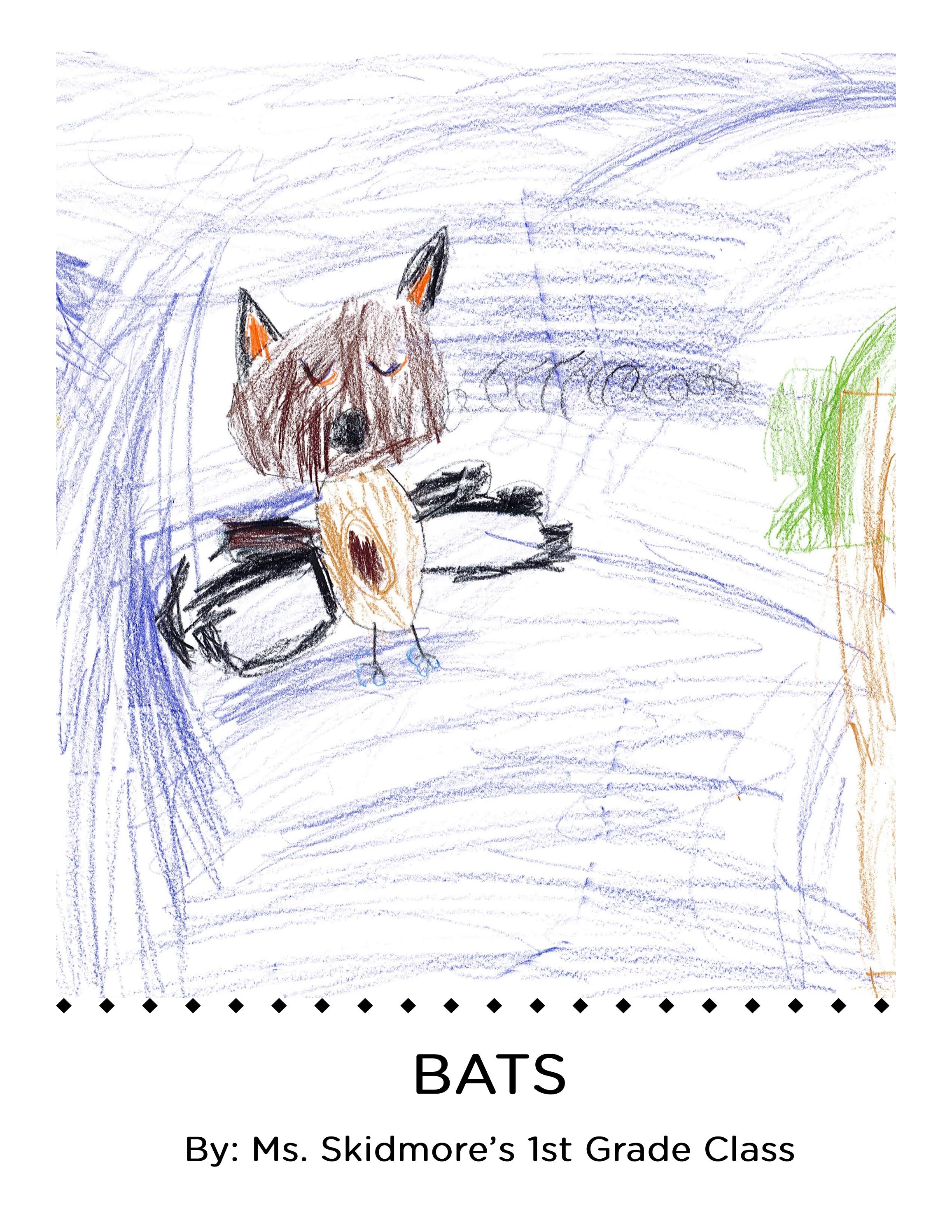 Bats by Ms. Skidmore's 1st Grade Class Emerald Elementary by