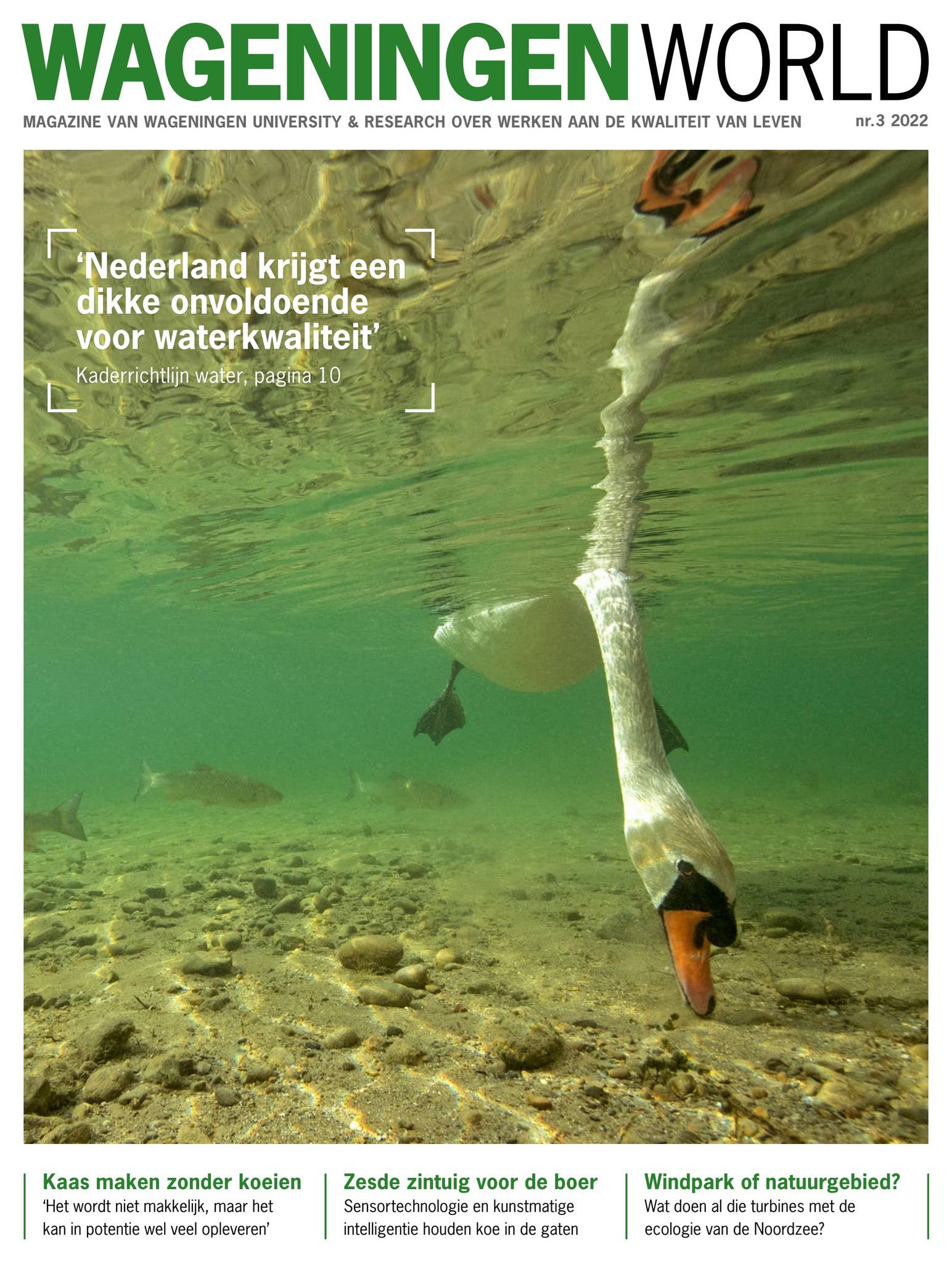 Arctische Voedselketenpiramide Krillvoedselpiramidevector Sjabloon  Afbeelding Downloaden Op Pngtree, image size:1544x2048