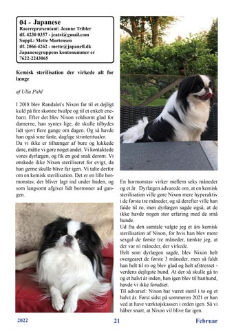 Page 21