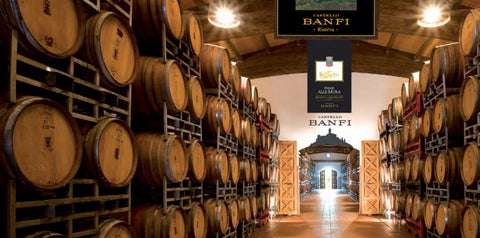 家具手册 Banfi b2b 第 8 页