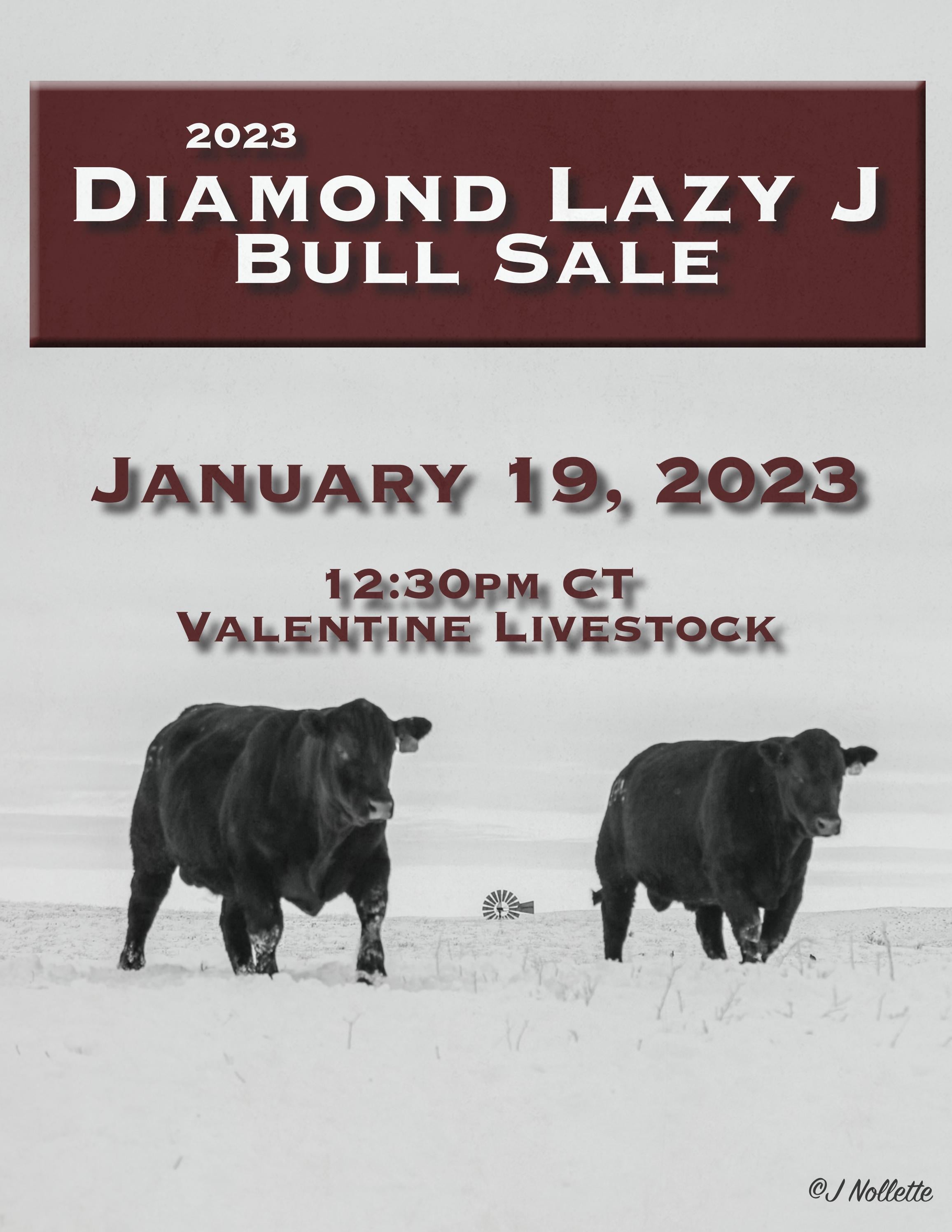 Diamond Lazy J Ranch 2023 Spring Bull Sale Catalog by LivestockDirect Issuu