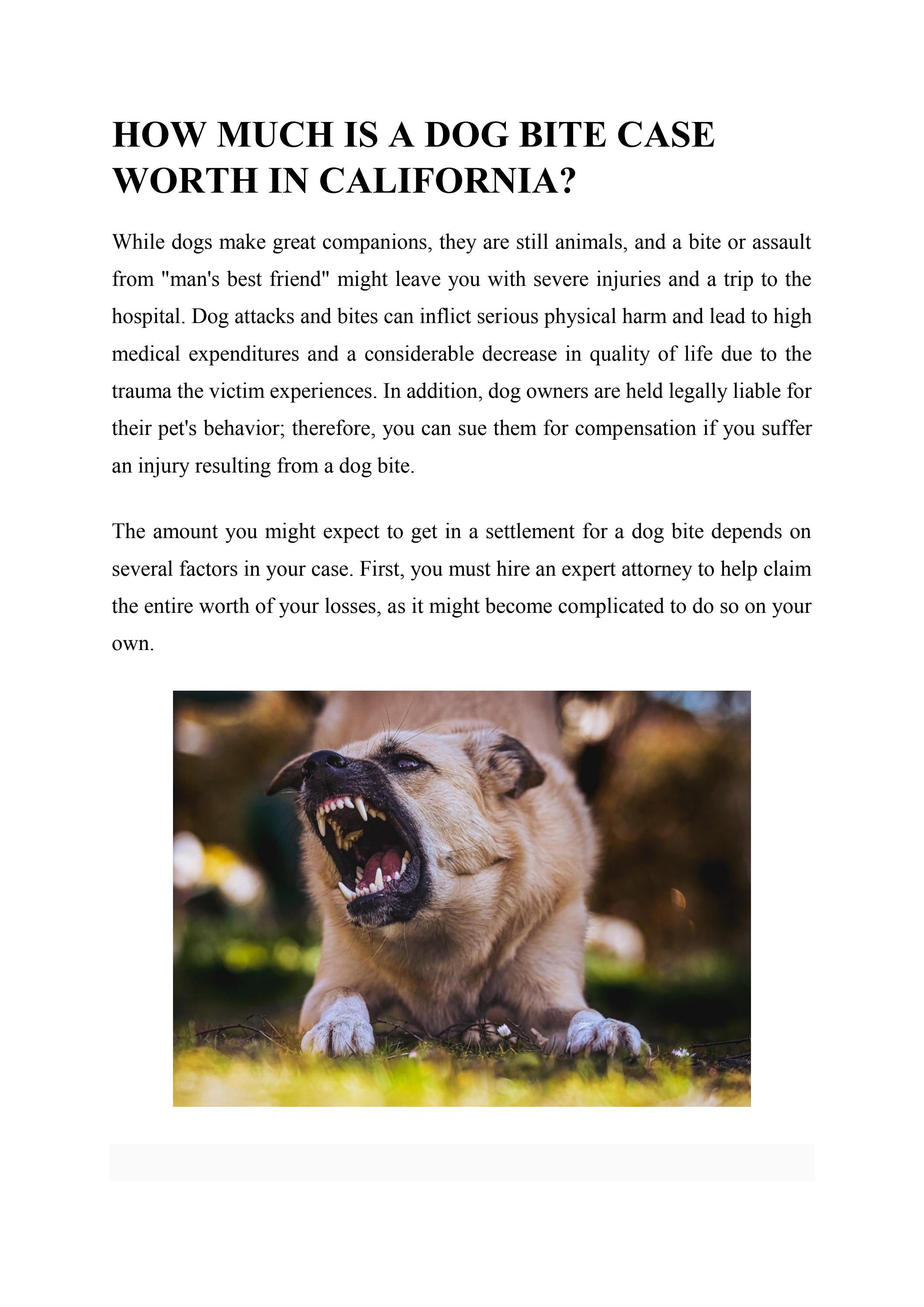 HOW MUCH IS A DOG BITE CASE WORTH IN CALIFORNIA? by norcalattorney Issuu