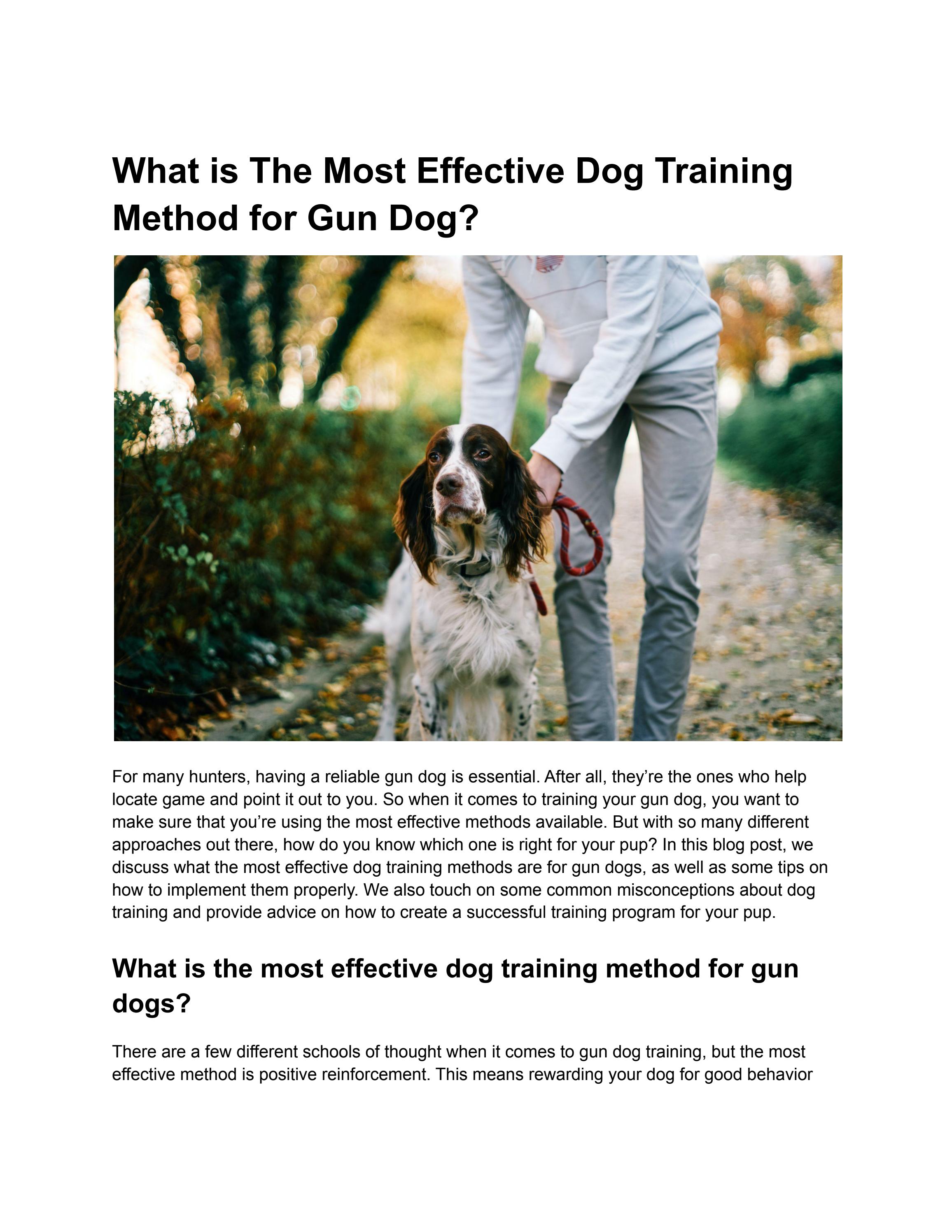 What is The Most Effective Dog Training Method for Gun Dog? by rurisnow