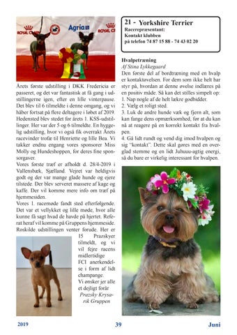 Page 39