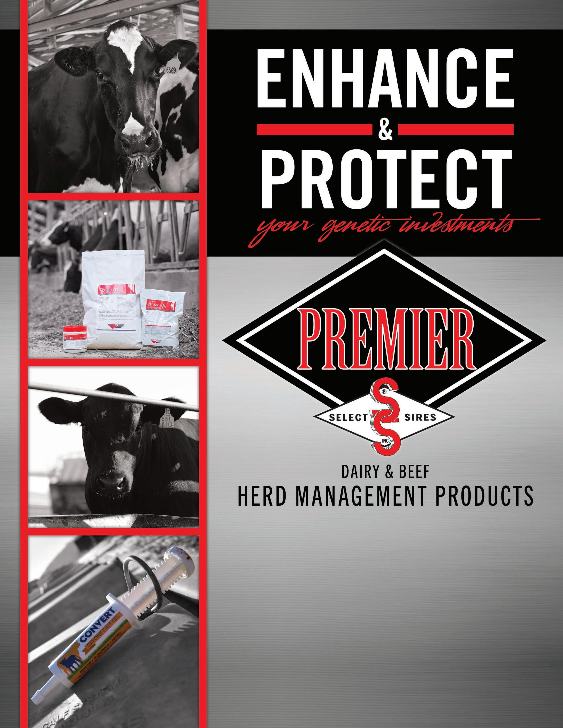 Premier Product Manual 2022 by Premier Select Sires Issuu