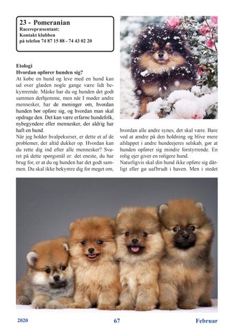 Page 67