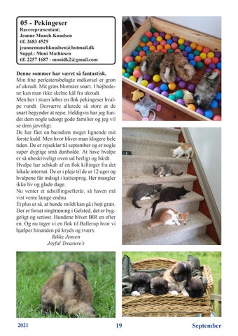 Page 19