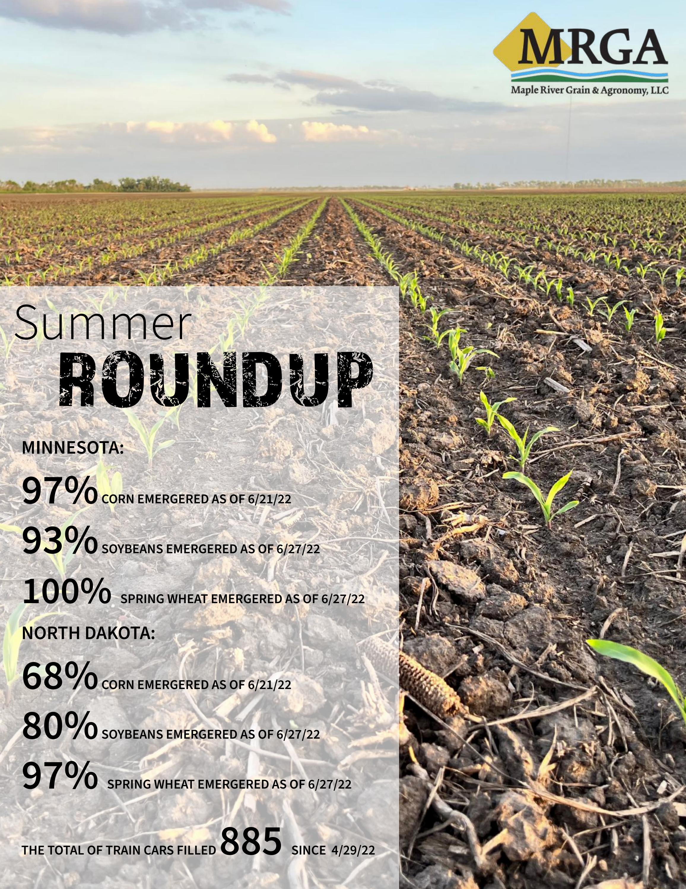 Summer Roundup | 2022 by Maple River Grain & Agronomy, LLC - Issuu