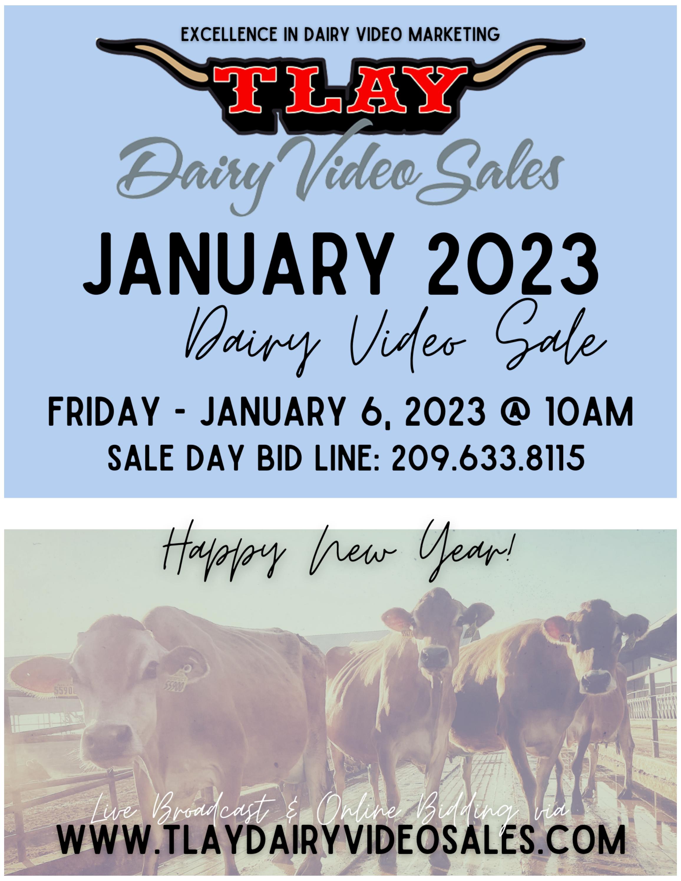 JANUARY 2023 DVS CATALOG by TURLOCK LIVESTOCK AUCTION YARD Issuu