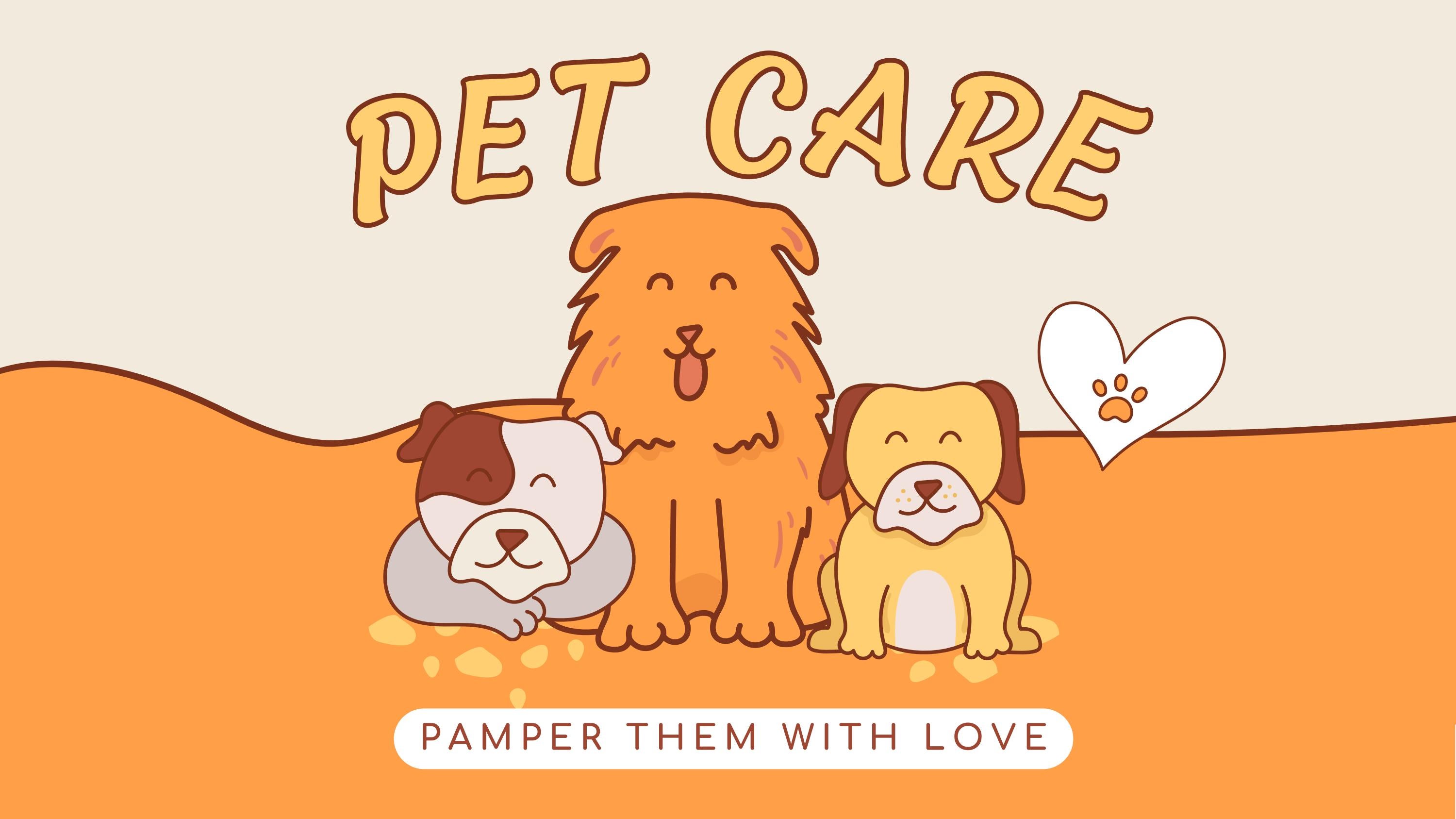 How to take care of a Dog Help a Dog VOSD by Voice Of Stray Dogs