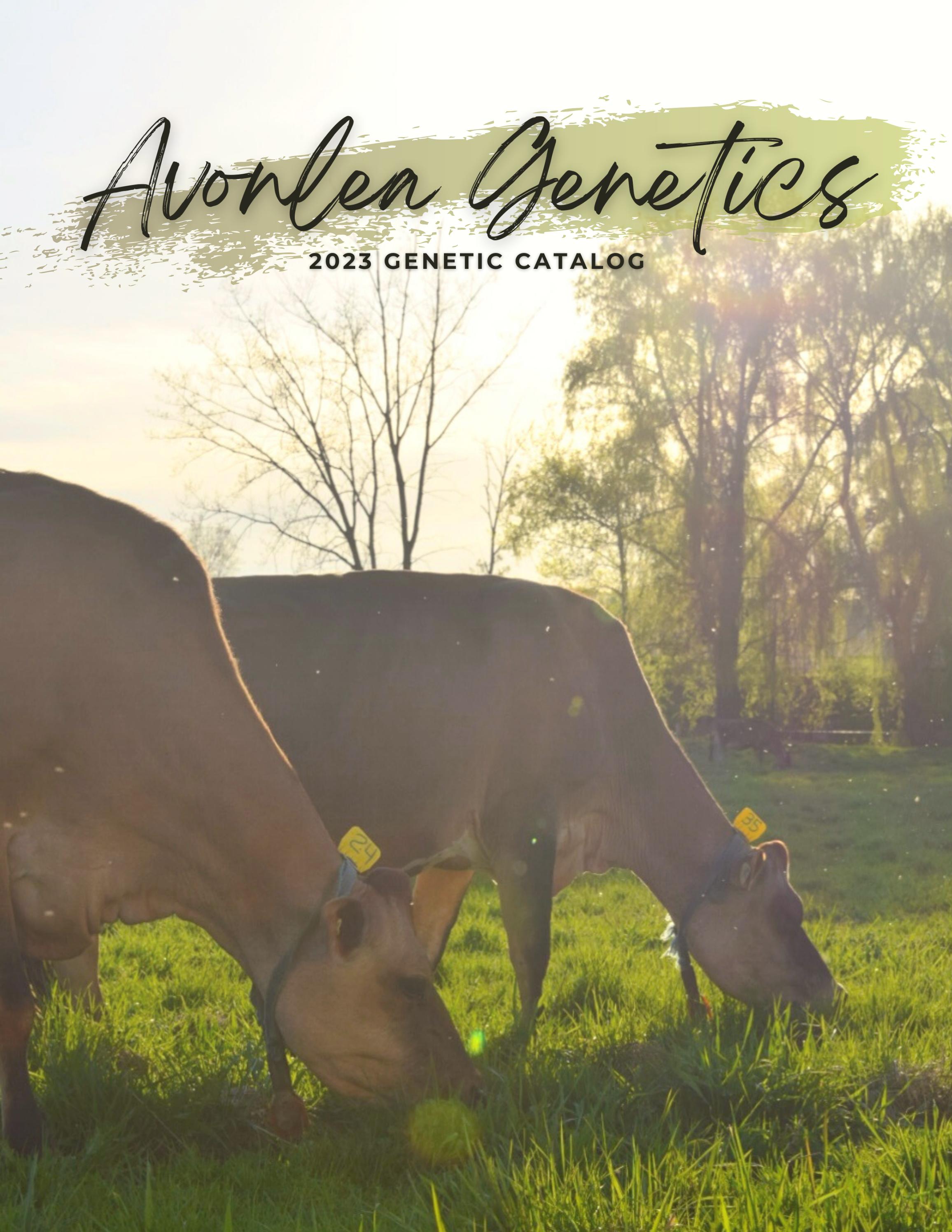 Avonlea 2023 Catalog by Jen Issuu