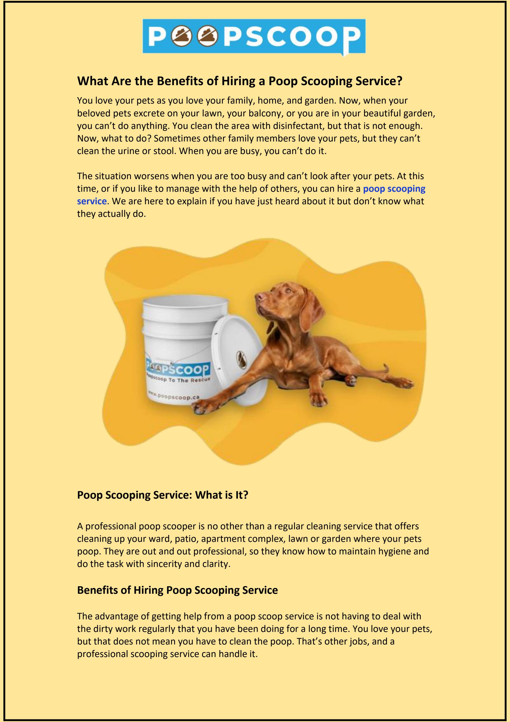 What Are the Benefits of Hiring a Poop Scooping Service? by Poop Scoop