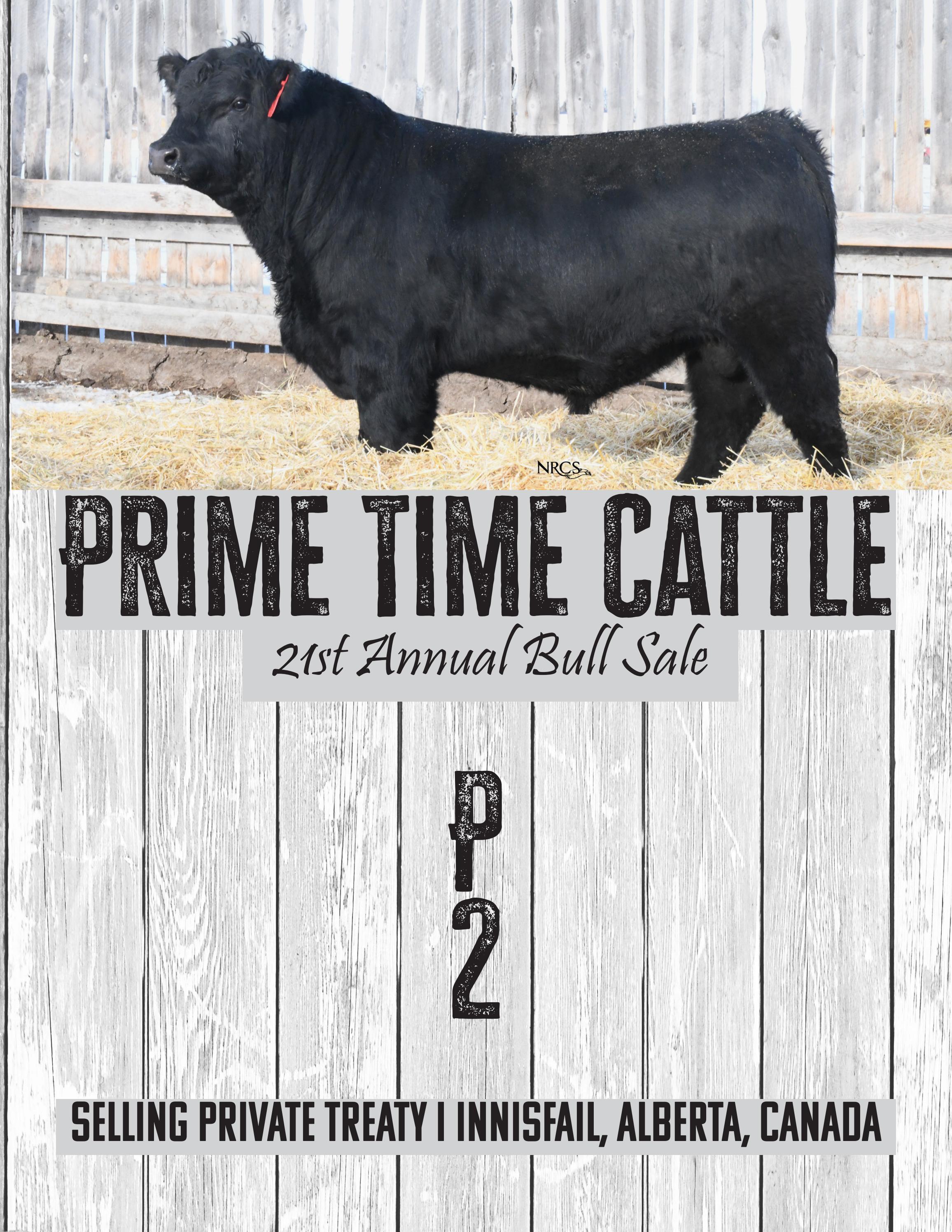 PTC Bull Sale 2023 by Nicki Ross Issuu