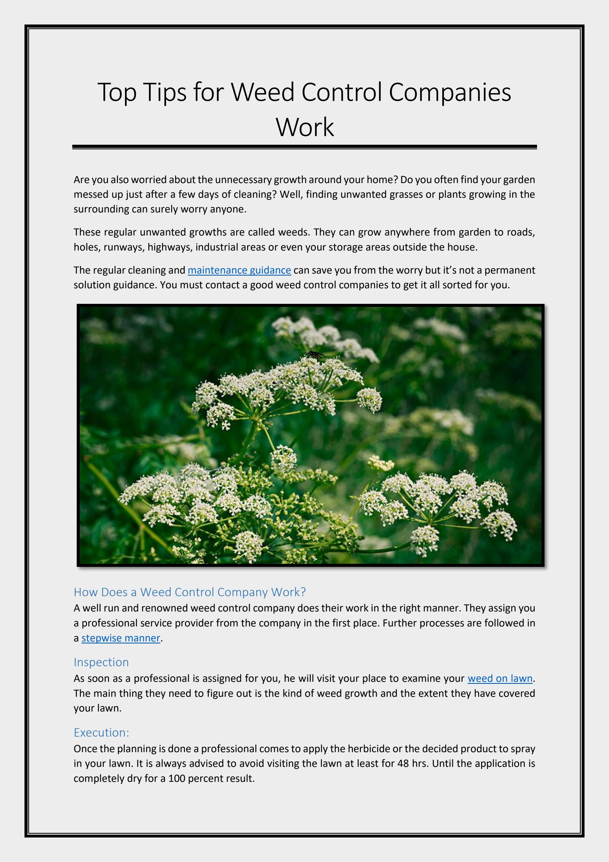 Top Tips for Weed Control Companies Work by greendroplawns Issuu