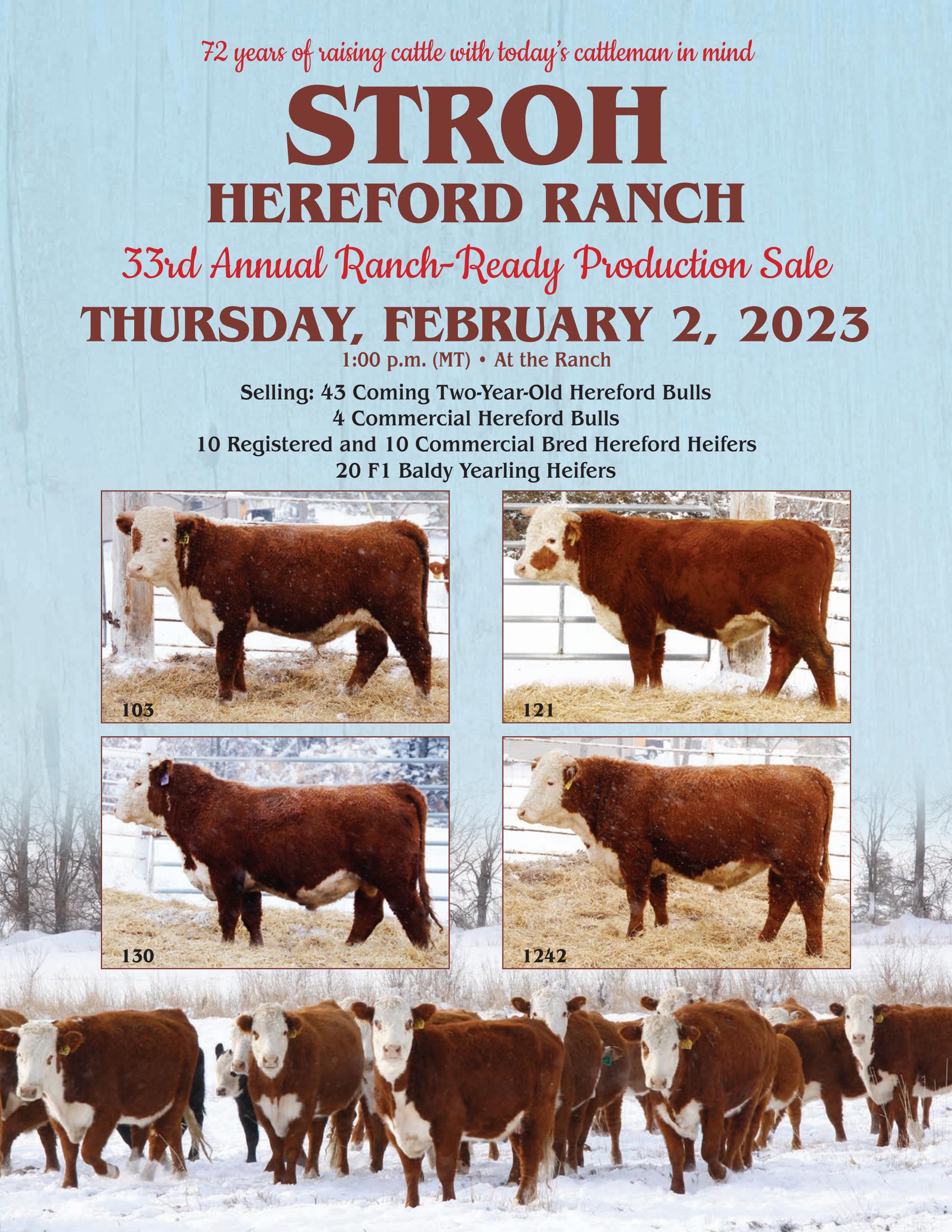 Stroh Hereford Ranch's 2023 Ranch Ready Production Sale by Matt Stroh