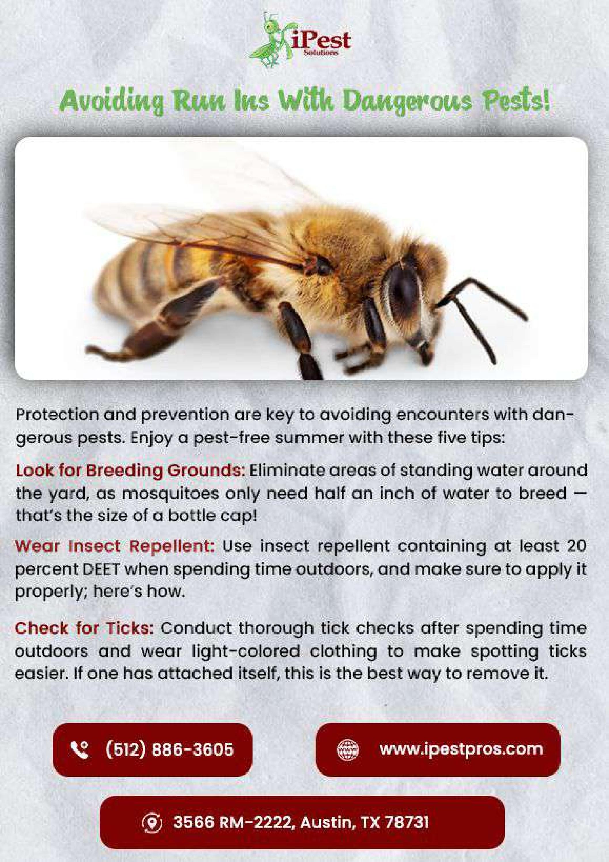 Residential Pest Control San Antonio Pest Control by ipestpros Issuu