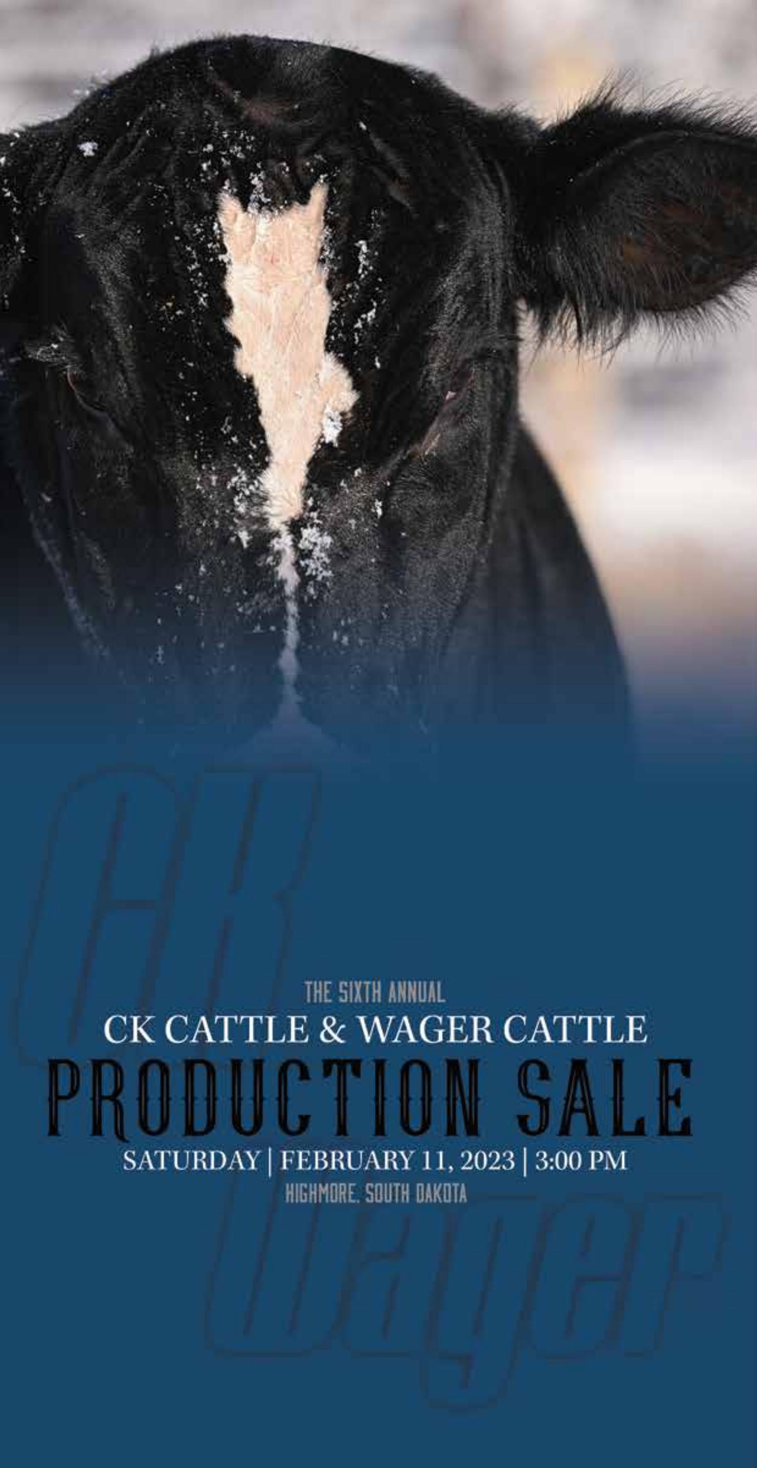 CK Cattle and Wager Cattle Production Sale Brochure by Tracy McMurphy