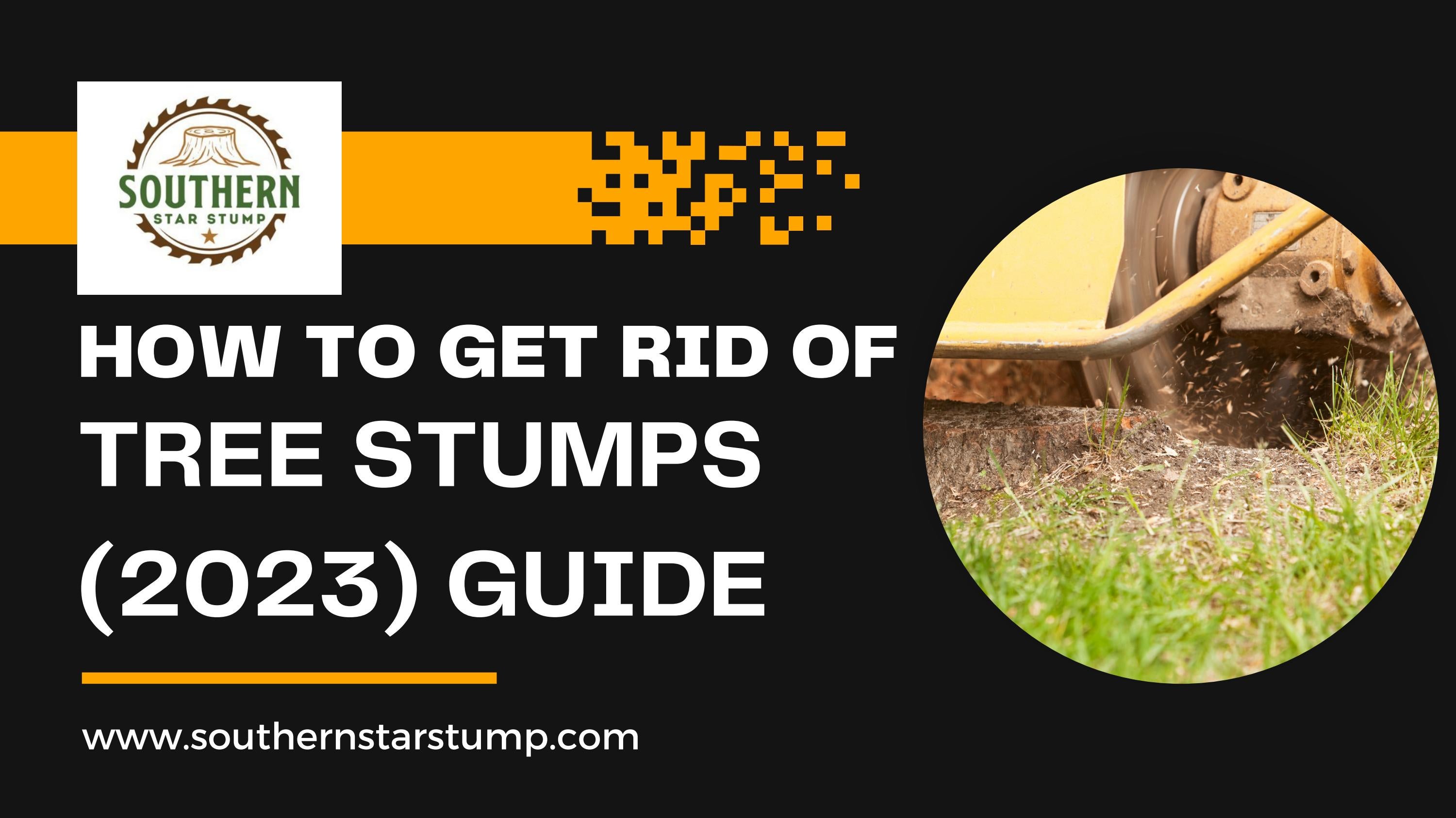 How To Get Rid Of Tree Stumps (2023) Guide? by Southern Star Stump Issuu