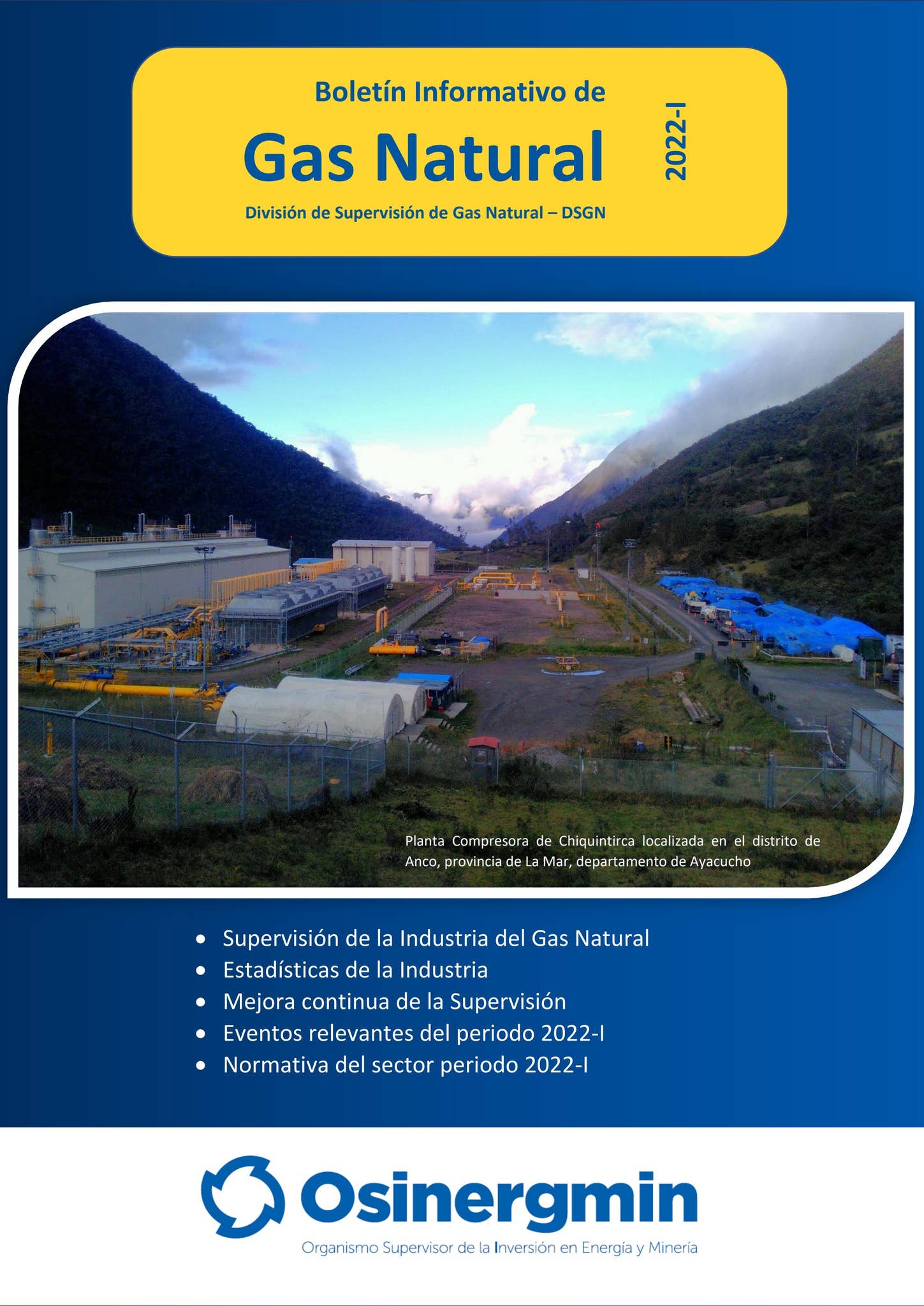 Boletín Semestral de la División de Supervisión de Gas Natural 2022 - I ...