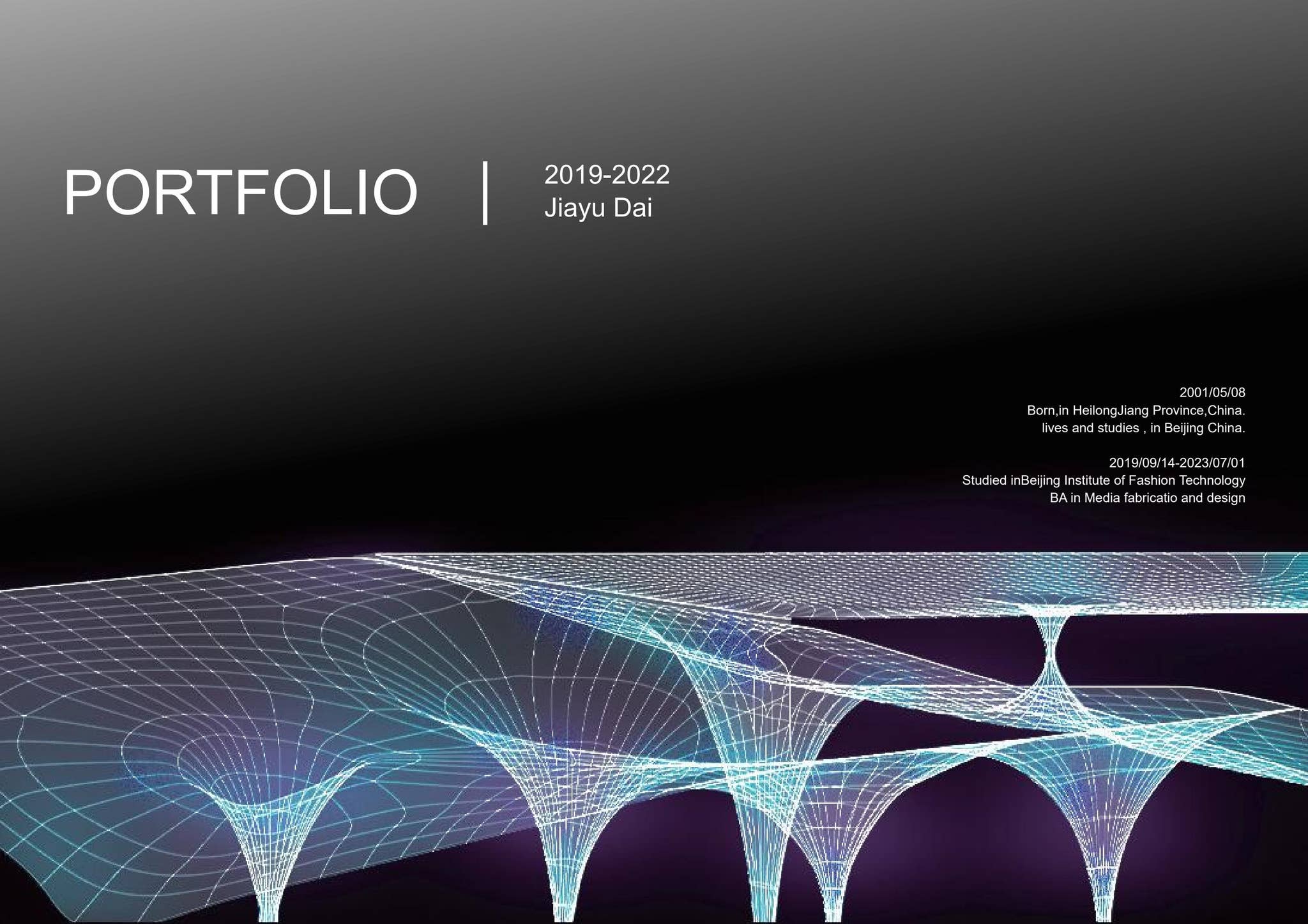 Jiayu Dai-Portfolio by daiyuyuyu - Issuu