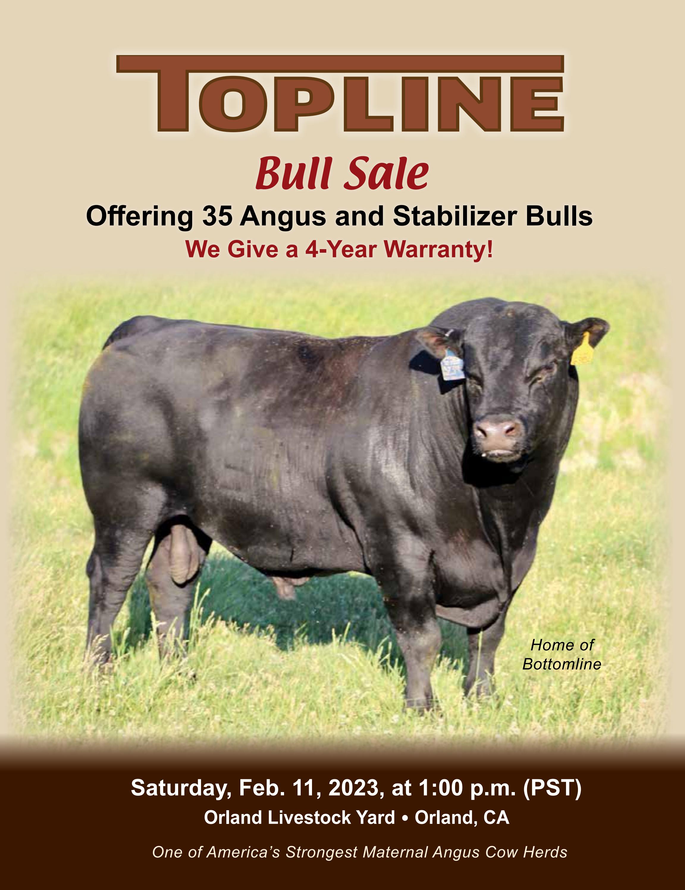 Ravenna Livestock Auction Prices - 8jmea1o