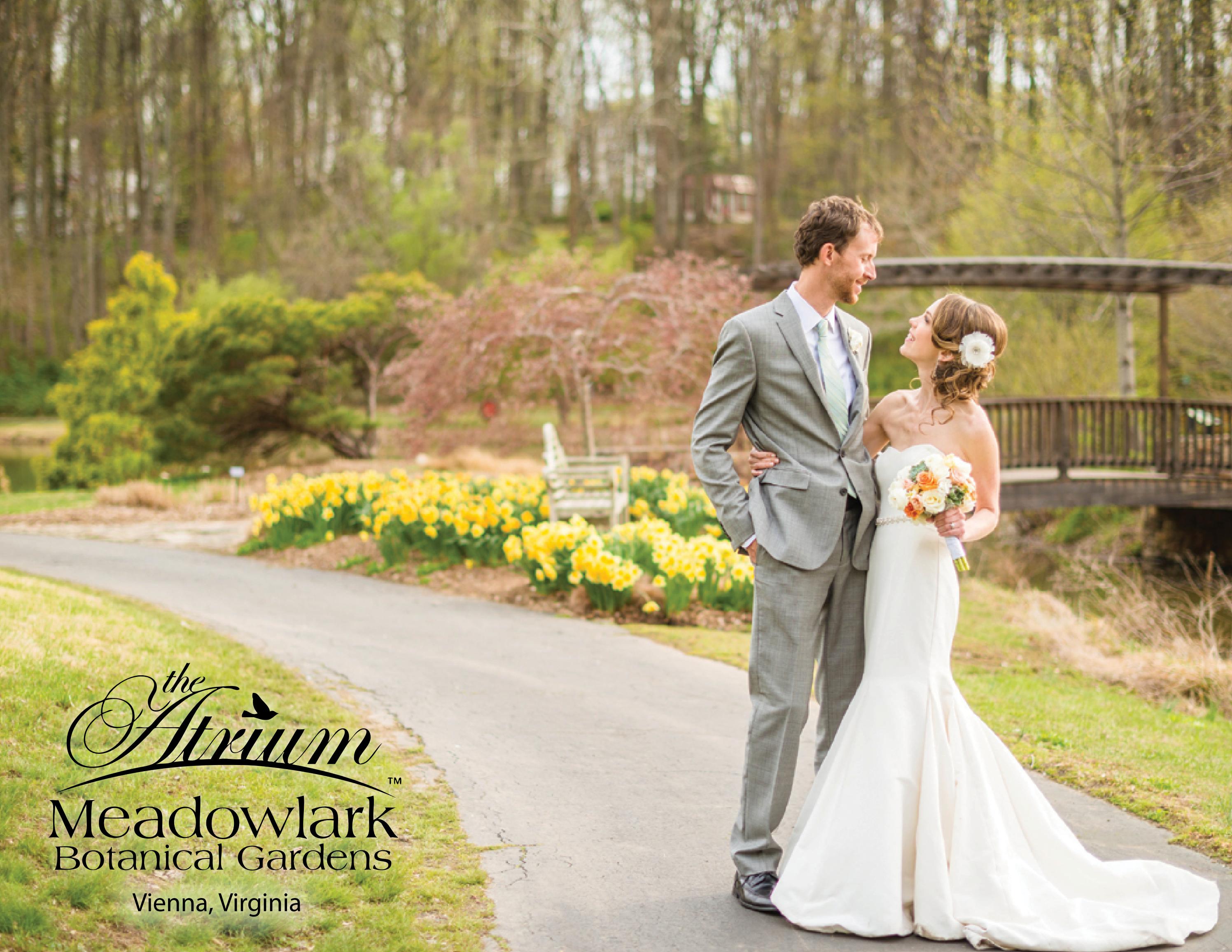 2023 The Atrium at Meadowlark Brochure by NOVA Parks Issuu